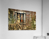 4003 Acrylic Print