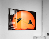 4005 Acrylic Print