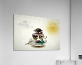 4020 Acrylic Print