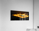 4022 Acrylic Print