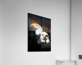 4033 Acrylic Print