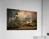 4040 Acrylic Print