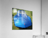 4038 Acrylic Print