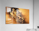 4063 Acrylic Print