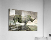 4091 Acrylic Print