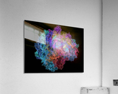 4098 Acrylic Print