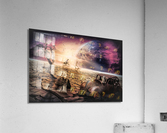 4117 Acrylic Print