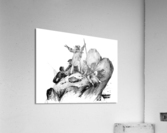 4123 Acrylic Print