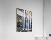 4129 Acrylic Print