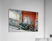 4138 Acrylic Print