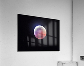 4145 Acrylic Print