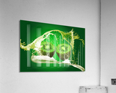 4164 Acrylic Print