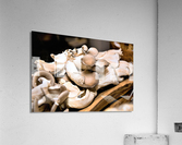 4165 Acrylic Print