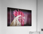 4166 Acrylic Print