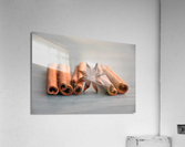 4169 Acrylic Print