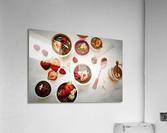 4172 Acrylic Print