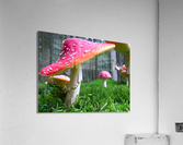 4181 Acrylic Print