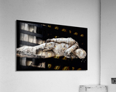 4205 Acrylic Print