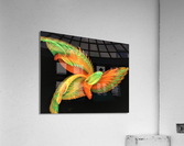 4207 Acrylic Print