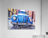 4211 Acrylic Print