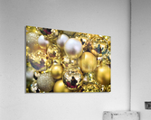 4215 Acrylic Print