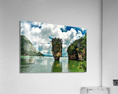 4219 Acrylic Print