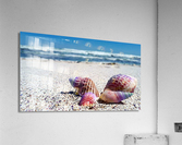 4220 Acrylic Print