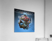 4234 Acrylic Print