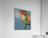 4236 Acrylic Print