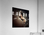 4239 Acrylic Print