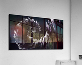 4240 Acrylic Print