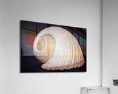 4258 Acrylic Print