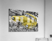 4266 Acrylic Print