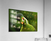 4268 Acrylic Print