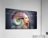 4280 Acrylic Print