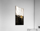 4290 Acrylic Print