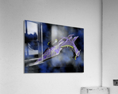 4291 Acrylic Print