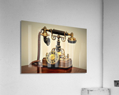 4303 Acrylic Print