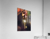 4313 Acrylic Print