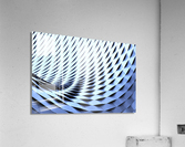 4323 Acrylic Print