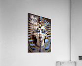 4332 Acrylic Print