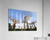 4334 Acrylic Print