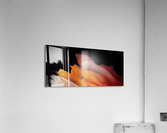 4343 Acrylic Print