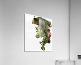 4347 Acrylic Print