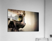 4362 Acrylic Print