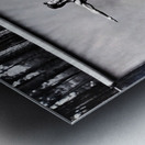 810 Metal print