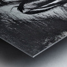 1258 Metal print