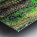 1259 Metal print