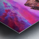 1262 Metal print