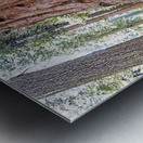 1267 Metal print